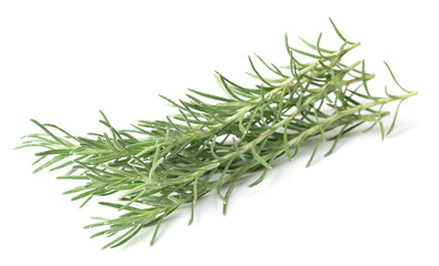 fresh curry plant twigs isolated on white background