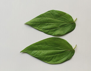 Betel Leaf, Areca nut, Rice, Kumkum & Turmeric, for puja or wedding ceremony. India