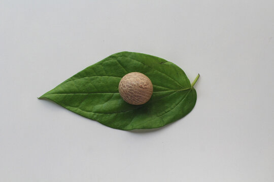 Betel Leaf, Areca nut, Rice, Kumkum & Turmeric, for puja or wedding ceremony. India