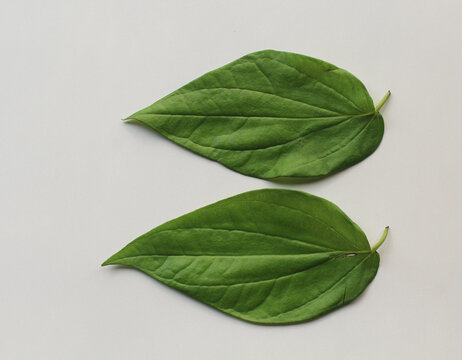 Betel Leaf, Areca nut, Rice, Kumkum & Turmeric, for puja or wedding ceremony. India