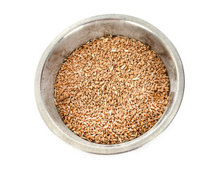 wheat in studio