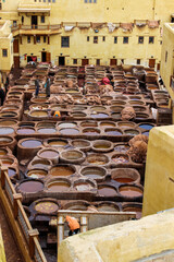 Marrakech tanners for leather working