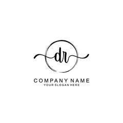 DR Initials handwritten minimalistic logo template vector