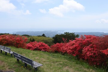 田束山のツツジ群生地の風景　（宮城県南三陸町歌津）