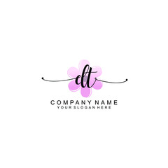 DT Initials handwritten minimalistic logo template vector
