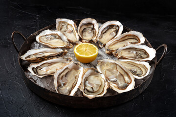 Oysters. A dozen of oysters on a copper platter © laplateresca