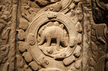Mysterious stegosaurus dinosaur carving on the wall at Ta Prohm temple, Angkor Wat, Cambodia © Lina