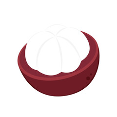 Mangosteen vector. Mangosteen on white background.