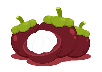 Mangosteen vector. Mangosteen on white background.