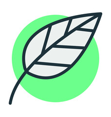 Leaf Vector Icon