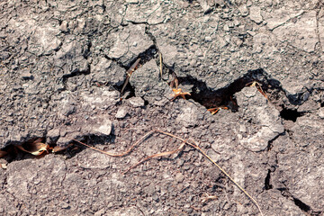 Dry soil in the garden . Summer drought . Cracked ground