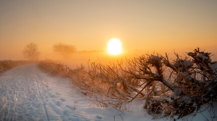 Schneelandschaft - Winter im Teufelsmoor bei Sonnenaufgang  - 422705689