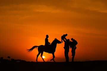 silhouette of camel