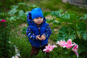 portrait of a baby in summer with lilies, selective focus