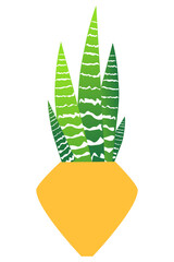 Sansevieria. Flower in a pot. Unpretentious house plant. Vector drawing. Cartoon style. Flat. For decoration and collages in web design. Also can be used as a sticker