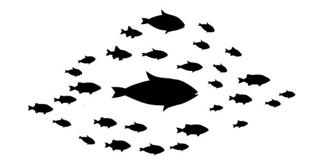 Silhouettes of groups of  fishes on white