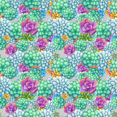 Seamless pattern with succulents. Beautiful floral print.