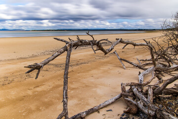 View of the beach at Sawyer Bay in Tasmania