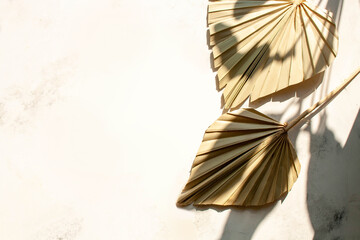 Dry palm leaves on a white concrete background. Flat lay style. Empty place