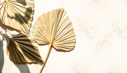 Dried palm leaf on a concrete background. Contrasting shadows. Flat lay style. Empty place