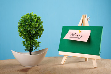 May written on a sticky note on a mini green notice board with a plant with blue background