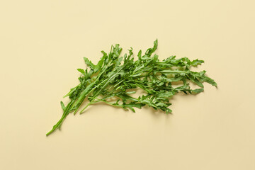Fresh arugula on color background
