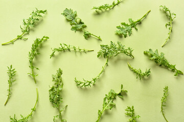 Fresh arugula on color background