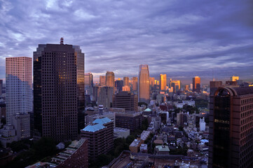 Aerial view of Tokyo cityscape at blue hour, at dusk. Birds eye view of Tokyo, Japan