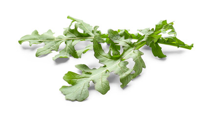 Fresh arugula on white background