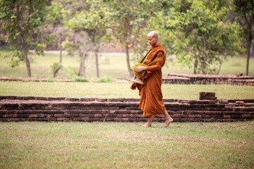 A monk walking on the lawn in the park.