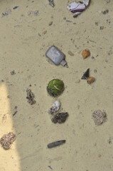 urban river pollution