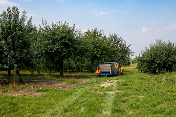 Fototapeta na wymiar old tractor with trailer in apple fruit orchard