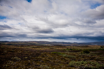 Summer landscape in Southern Iceland, Europe