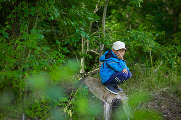 Obraz premium a boy in a blue jacket and cap in the woods in summer, selective focus
