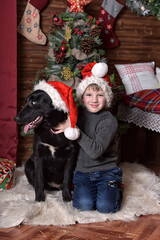 boy with a black dog with a mongrel in Christmas caps at a Christmas tree