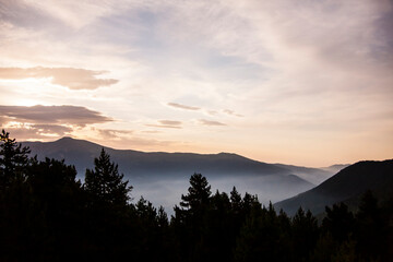 Summer landscape in La Cerdanya, Pyrenees, Spain