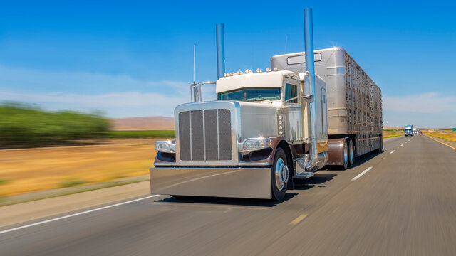 American style truck on highway pulling load. The theme of road cars.
