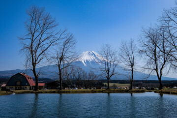 Fototapeta premium 静岡県の富士山が見えるキャンプ場