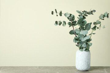 Vase with eucalyptus branches on light beige background