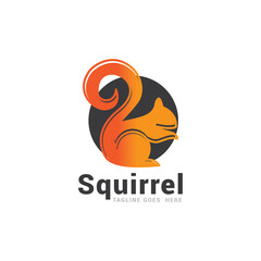 Squirrel logo icon vector template.