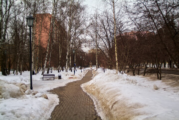 walk of tiles in the park in winter