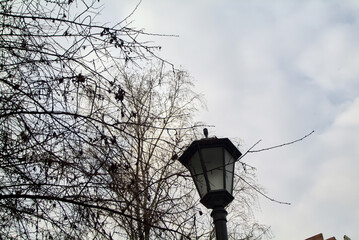 street lantern against the cloudy sky in winter