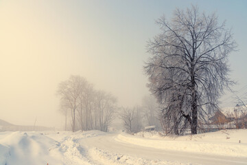 Obraz premium Winter rural road with trees in the fog.