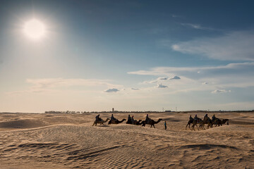 a caravan of people on camels in the backlight of the sun moves