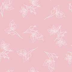 Seamless pattern with hand drawn rose hip