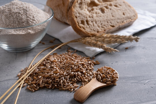 Spelt grain and ears, whole grain spelt flour in bowl and sourdough spelt bread near.