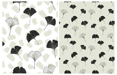 Hand Drawn Irregular Floral Vector Patterns with Black Sketched Ginkgo Biloba Leaves Isolated on a White and Pale Green Background. Garden Print with Falling Ginkgo Leaves ideal for Fabric, Textile.