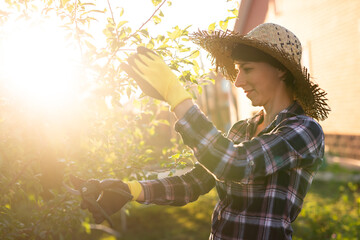 Side view of focused young caucasian woman gardener cuts unnecessary branches and leaves from tree...