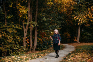 Obraz premium A happy elderly woman walks along the path in the autumn park. She is beautifully dressed, smiling while enjoying the walk and holding a sprig of leaves in her hand.