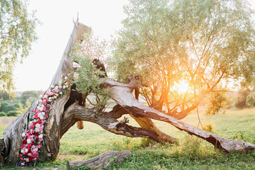 tree decorated with flowers on a sunset background